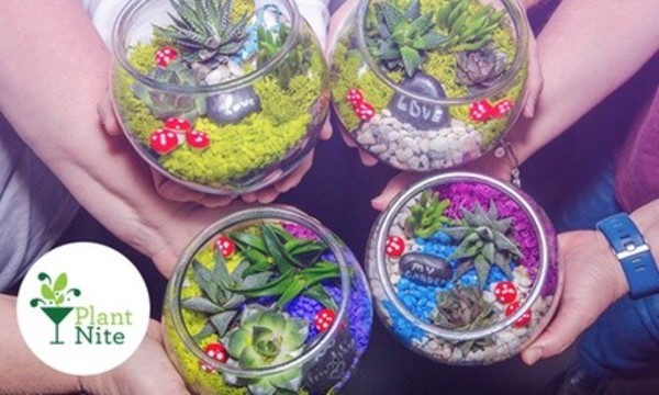 Terrarium and Garden-Making Social Event from Plant Nite in Local Bars