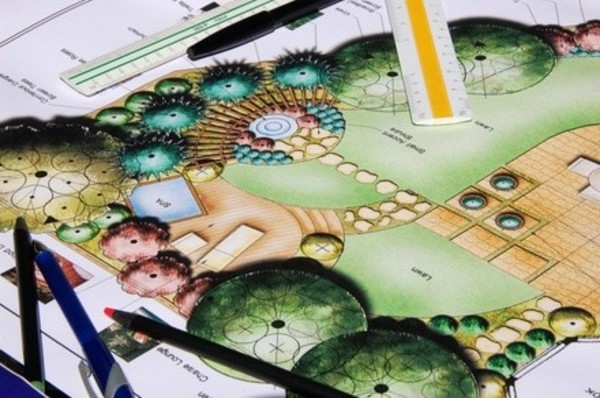 $100 for $200 Worth of Landscaping — Vera Planning & Design Services