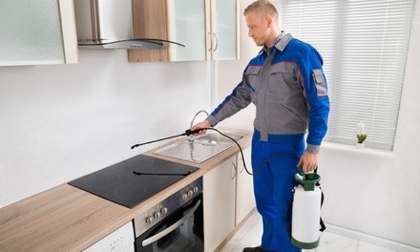$38 Off $190 Worth of Pest Control Service - General