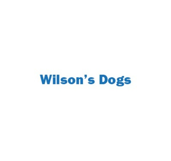 Wilson's Dogs
