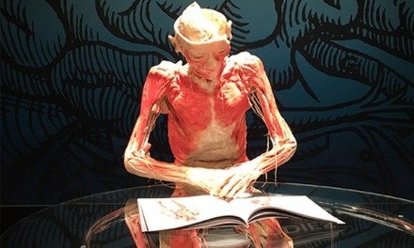 "Bodies: The Exhibition" (May 25–September 30)