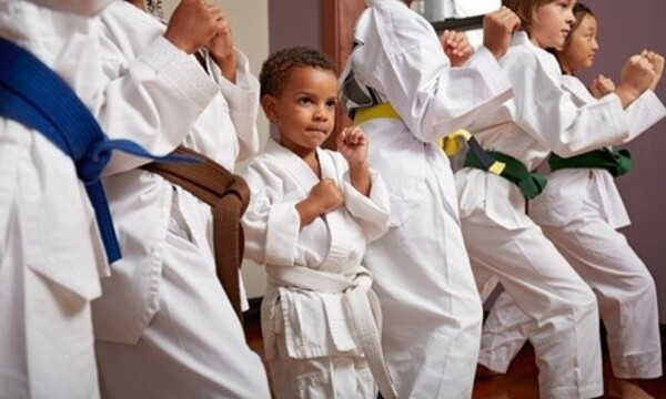 Taekwondo Classes, Private Lessons, and Uniform at American Taekwondo Fredonia (Up to 77% Off)