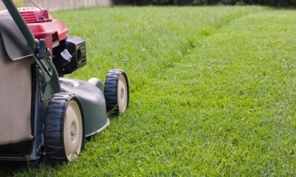$28 Off $50 Worth of Lawn Mowing Service