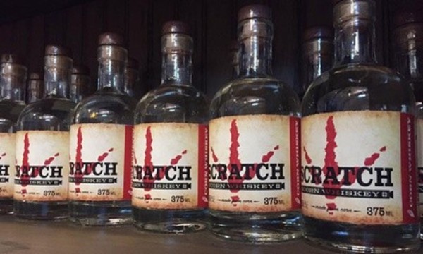 Tour and Pub Glasses for Two or Four at Springfield Distillery (Up to 57%  Off)