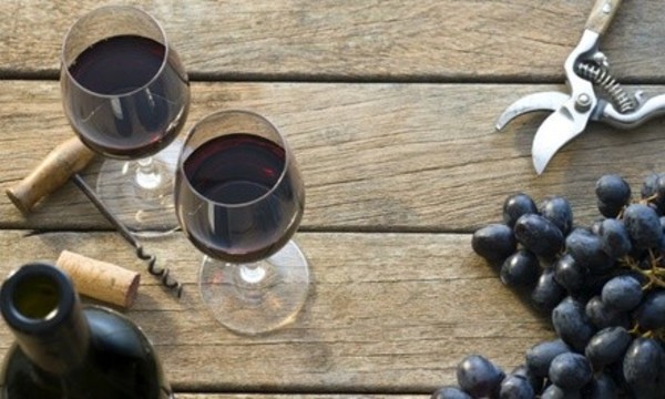 Wine Tasting and Tour for 2, 4, or Private for Up to 10 at Locklear Vineyard and Winery (Up to 52% Off)