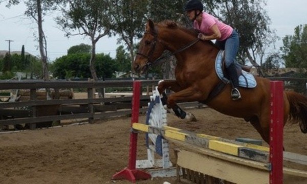 Up to 58% Off One, Three, or Five Horseback Riding Lessons  at Norco Equestrian Academy 