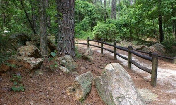Visit for Two or Family Fun Pass at the Mississippi Petrified Forest (Up to 61% Off)