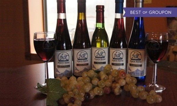 Wine Tasting for Two or Four at North Ridge Winery (52% Off)