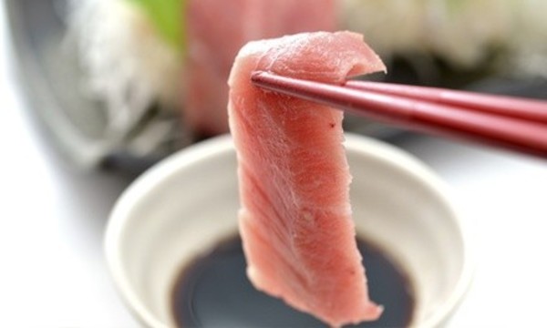 Deal for Wasabi Fusion