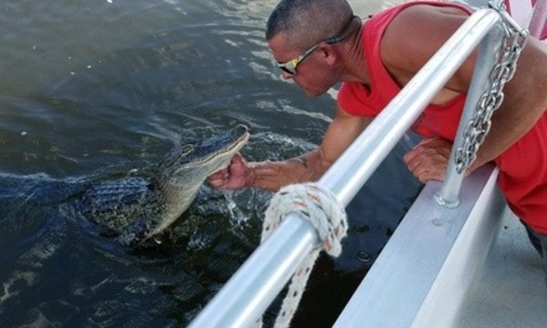 Tour for Two, Four, or Six People, or a Private Tour for Up to Six from Happiness Bayou Tours (Up to 43% Off)