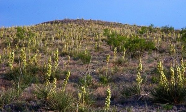 One-Year Membership for Two People or One Family at Wildcat Bluff Nature Center (Up to 50% Off)