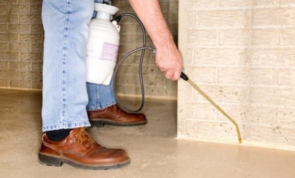 $50 for $100 Worth of Pest-Control Services — EcoSci Pest Solutions, LLC