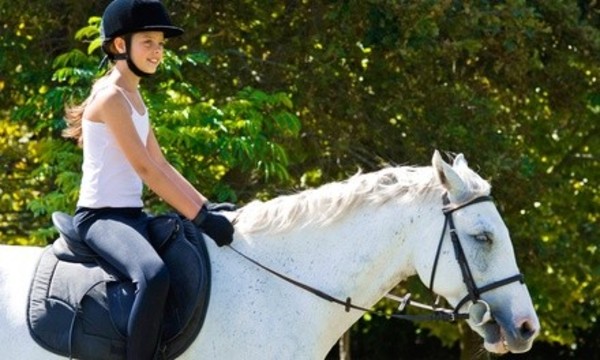 One 35-Minute Horseback Riding Classes at Never Ending Farm (33% Off)
