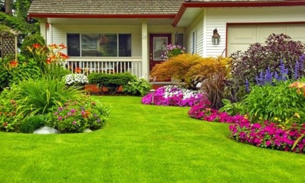 Complete Pest Elimination Treatment or One-Year Termite Package from Active Pest Control (Up to 83% Off)