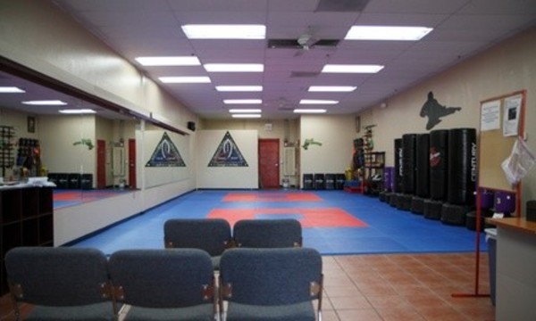 $63 for $139 Worth of Martial-Arts Lessons — Akka Karate Usa