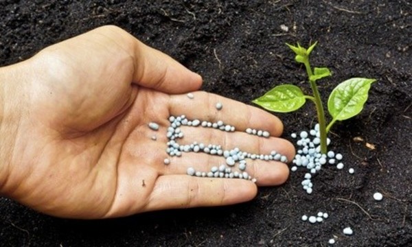 30% Off Fertilization Service