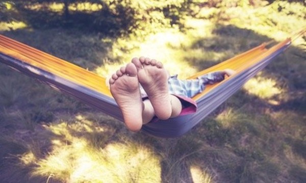 One or Two Mosquito Barrier Treatments Up to Half Acre from Mosquito Authority (Up to 64% Off)