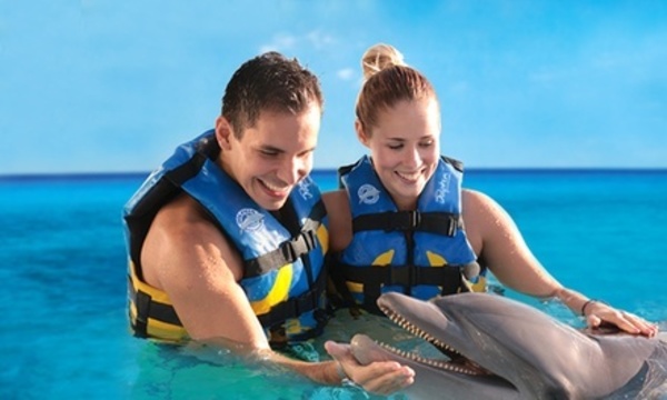 Swim with Dolphins in Mexico, Caribbean and Jamaica at Dolphin Discovery (Up to 38% Off). 15 Locations Available