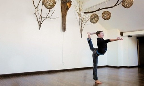 Yoga Classes and Gym Day Passes at Karma Yoga Studios (Up to 76% Off)