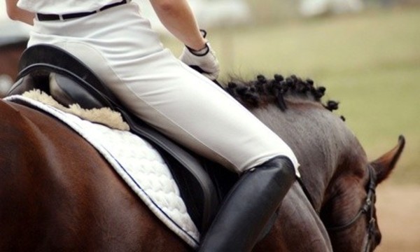 One, Three, or Five 60-Minute Private Horseback-Riding Lessons at Taylor River Farm (Up to 76% Off)