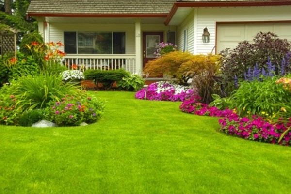 $69 for $125 Worth of Services — McKinley Landscape Maintenance LLC