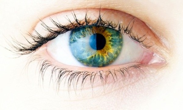 Custom LASIK Eye Surgery for One or Both Eyes at The LASIK Vision Institute (43% Off)  