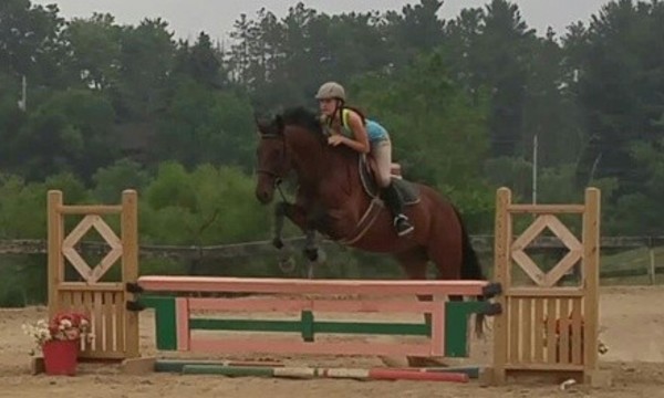 $30 for $40 Worth of Services — Stoney Hollow Stables