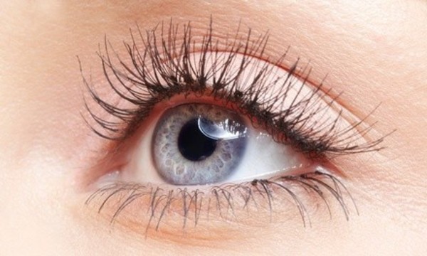Worth of Services — Ibrows Microblading