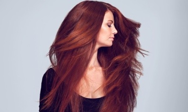 $59 for a Haircut, Botanical Hair Therapy, and Hand Massage at Pure SalonSpa ($125 Value)
