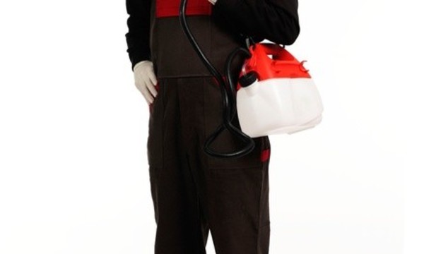 $125 for a Complete-Home Termite Inspection from Elite Bay Area Termite Control ($250 Value)