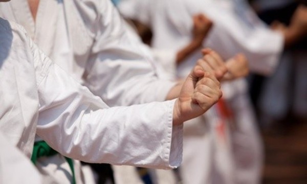 $19.50 for Classes at Pace Institute of Karate of Fairfield