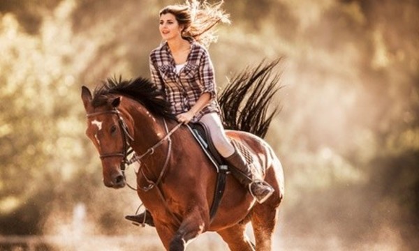 One, Three, or Five 60-Minute Private Horseback-Riding Lessons at Resolute Farm (Up to 52% Off)