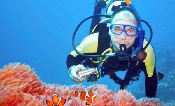 Open-Water PADI Certification Course or Confined-Water Scuba Course at Abyss Scuba & Travel (Up to 52% Off)