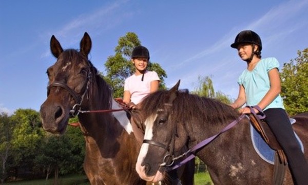 Two or Four One-Hour Semiprivate Horseback-Riding Lessons at Experienced Equine Connection (Up to 49% Off)