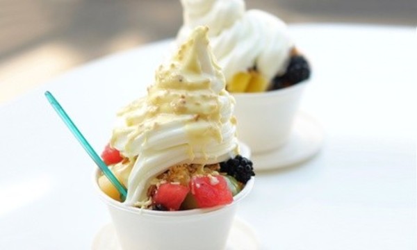 $13 for Froyo, Shakes, Smoothies, and More at Eclipse Burgers ($20 Value)