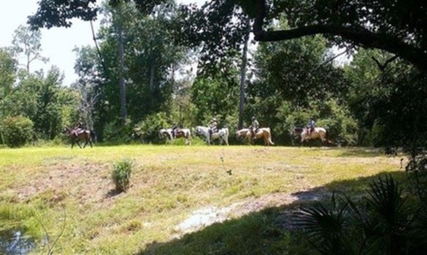 Horseback Trail Ride with Optional Lesson for Two or Four at Equestrian Quest Stables (Up to 50% Off)