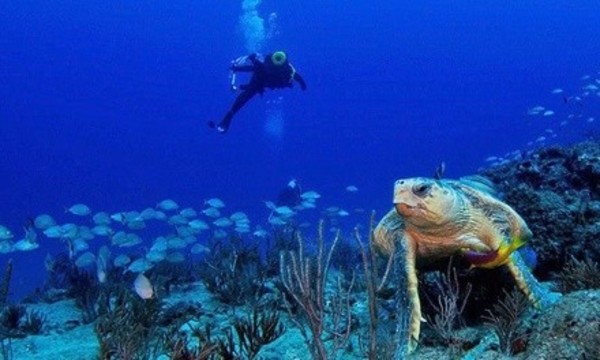 Deal for Scuba Works