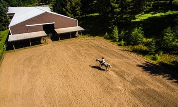 One, Two or Four 45-Minute Western or English Riding Lesson for One Person at Fiddlestix Ranch (Up to 60% Off)