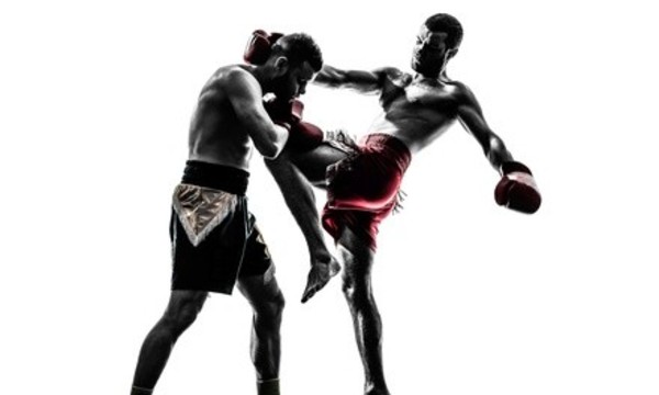 Deal for Vanyo Martial Arts