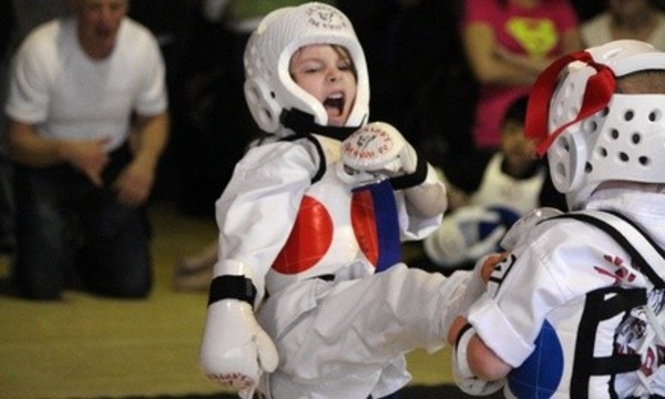 Deal for Vanyo Martial Arts