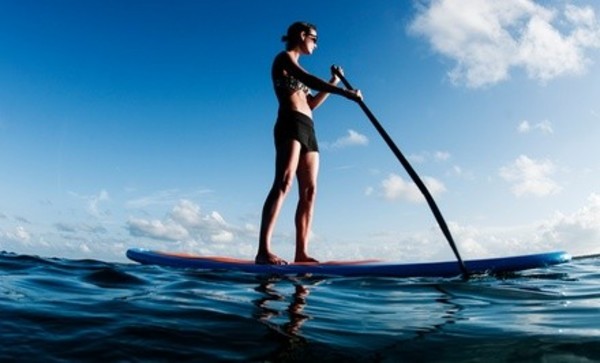Standup-Paddleboarding Rental for One or Two at Channel Islands Kayak Center (Up to 64% Off)