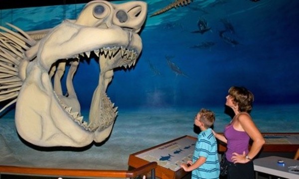 Admission for Two, Four, or Six People to Calvert Marine Museum Through May 18 (Up to 41% Off)