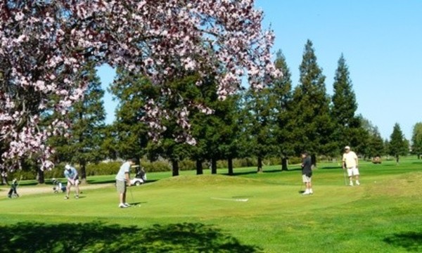 18 Holes of Golf for Two or Four with Cart Rentals and Range Balls at Cordova Golf Course (Up to 56% Off)