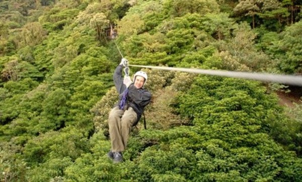 Tree Top Zipline Tour for Two or Four at Valley Zipline Tours (Up to 50% Off)