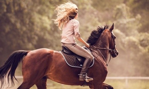 Horse-Simulator Riding Lesson with Optional 30-Minute Session with Real Horse at Five Horses (Up to 50% Off)