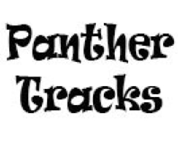 Panther Tracks