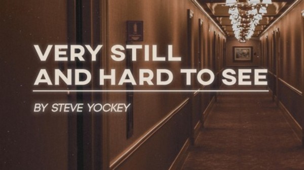 "very still & hard to see": Comedic Absurdity Meets Heartbreak