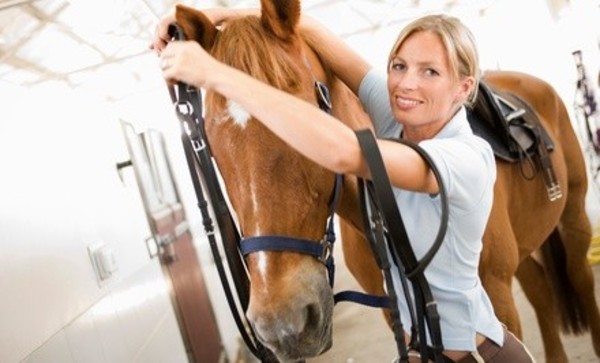 60-Minute Indoor Horseback-Riding Lesson for Two or Four at Green Acres Ranch (Up to 56% Off)