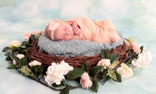 In-Studio Family Photo Shoot with Three, Six, or Eight Portrait Sheets at Picture People (Up to 89% Off)