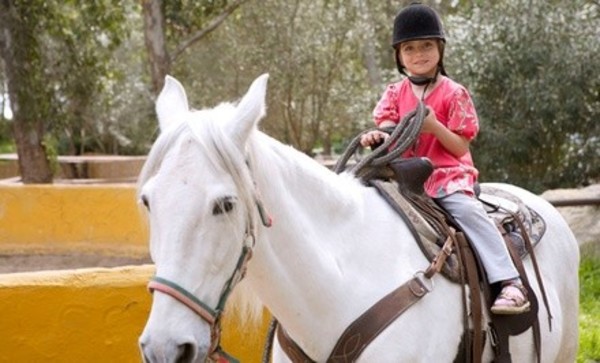 One-Week Summer Camp at Spirals Gym & Ed-Venture Kids Center (Up to 57% Off). Three Options Available.